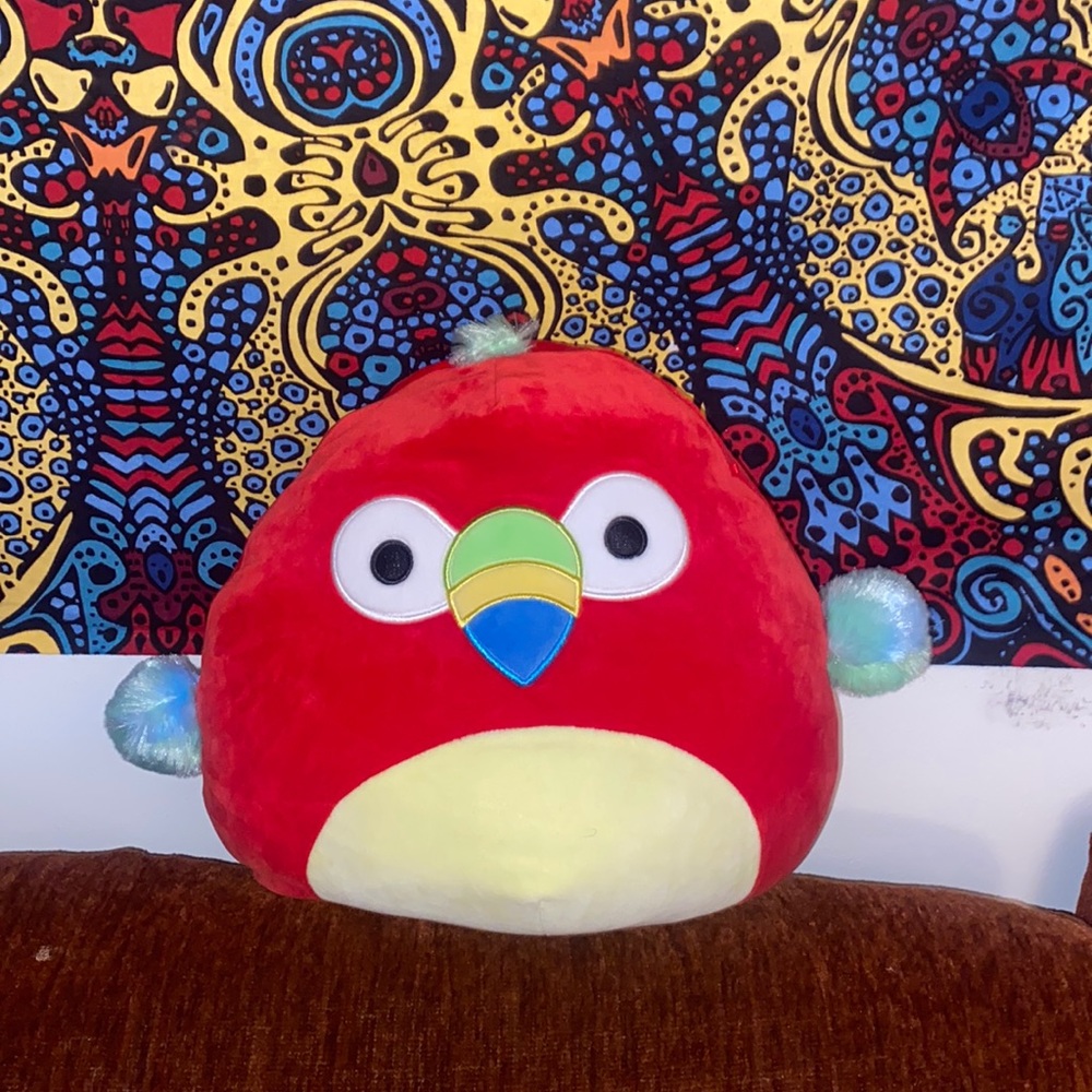 Paco the Red Parrot Squishmallow